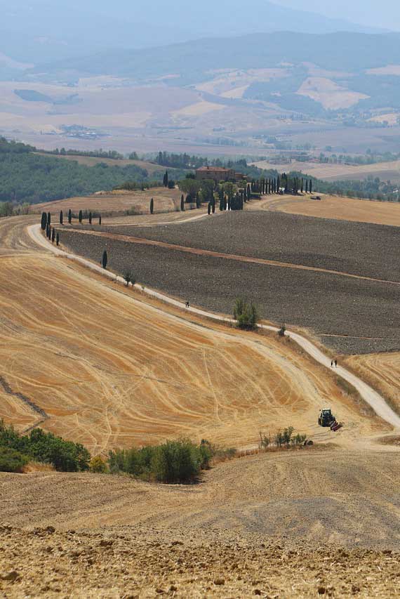 Colline Toscana