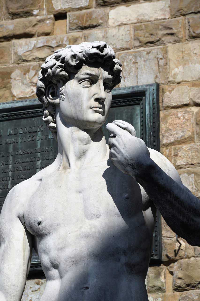 David Piazza Signoria Firenze